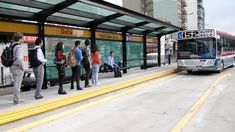 Varias líneas de colectivos se verán afectadas por la final del Mundial Qatar 2022. Varias líneas de colectivos se verán afectadas por la final del Mundial Qatar 2022.