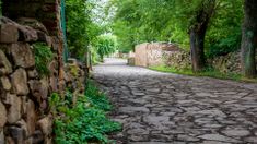 La Carolina será pueblo peatonal en el verano 2026. La Carolina será pueblo peatonal en el verano 2026.