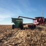 La agricultura fue uno de los sectores que impulsó el crecimiento interanual. La agricultura fue uno de los sectores que impulsó el crecimiento interanual.