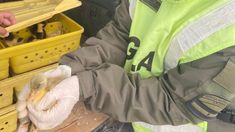 Los patos fueron secuestrados tras el hallazgo. Los patos fueron secuestrados tras el hallazgo.