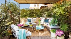 Las mejores plantas para mantener con vida en una terraza urbana. Las mejores plantas para mantener con vida en una terraza urbana.