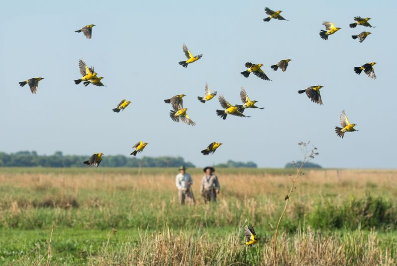 Medio Ambiente: la importancia del turismo de naturaleza para la Argentina.