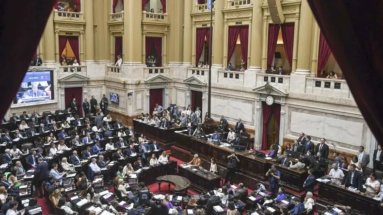 Esta semana la Cámara de Diputados vuelve a tratar la ley jubilatoria tras el veto de Javier Milei.