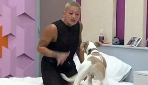 Furia se ganó las críticas de todos tras volver a atacar al perro Arturo. Furia se ganó las críticas de todos tras volver a atacar al perro Arturo.