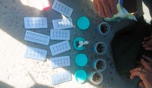 También se incautaron otras drogas como risperidona,carbamazepina y Lorazepam