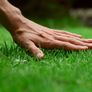 Este es el truco para mantener verde y reluciente el pasto de tu jardín.