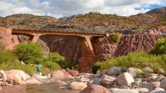 La región combina formaciones rocosas de colores vibrantes con una exuberante vegetación, y es hogar de majestuosos cóndores. La región combina formaciones rocosas de colores vibrantes con una exuberante vegetación, y es hogar de majestuosos cóndores.