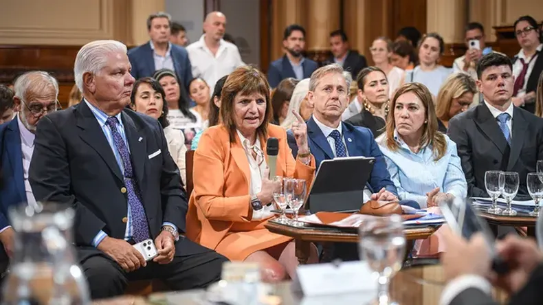 La senadora por LLA Patricia Bullrich celebr&oacute; el dictamen en el Senado.