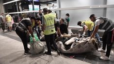 En la Ciudad de Buenos Aires hay más de 8 mil personas en situación de calle, según un relevamiento realizado en diciembre de 2023. En la Ciudad de Buenos Aires hay más de 8 mil personas en situación de calle, según un relevamiento realizado en diciembre de 2023.