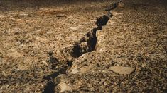 La población sigue alerta tras el fuerte terremoto de magnitud 7.4 del pasado lunes 10 de agosto,
