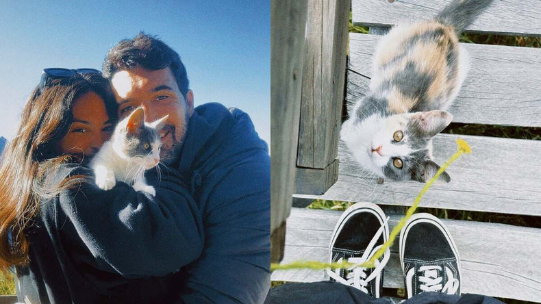 La tierna historia de la gatita conmovió a todos en redes sociales.