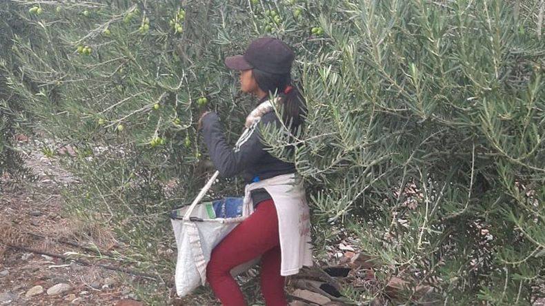 La AFIP aseguró que los trabajadores retornen a sus viviendas en condiciones aceptables de alimentación y salubridad.