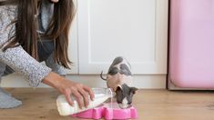 La leche no aporta beneficios relevantes para un gato adulto. La leche no aporta beneficios relevantes para un gato adulto.