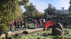 Las cuatro parques imperdibles para disfrutar.&nbsp;