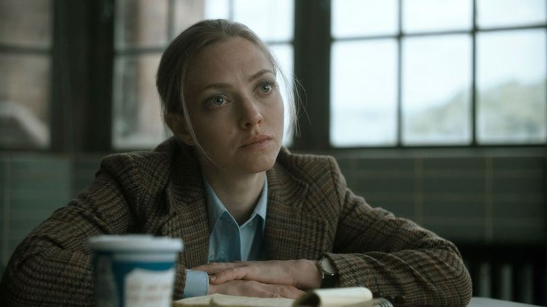 Danny Sullivan es arrestado luego de su participación en un tiroteo en la ciudad de Nueva York en 1979 y la serie sigue las entrevistas de una interrogadora conocida como Rya Goodwin (Amanda Seyfried), su investigación y los recuerdos del propio Danny
