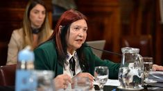 El Senado rechazó el pliego de la jueza Ana María Figueroa