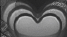 La foto romántica de Ángela Torres con un periodista: Te amo hasta las estrellas La foto romántica de Ángela Torres con un periodista: Te amo hasta las estrellas