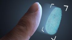 Elecciones 2023: La CNE habilita la votación por huella dactilar. Imagen ilustrativa.&nbsp;