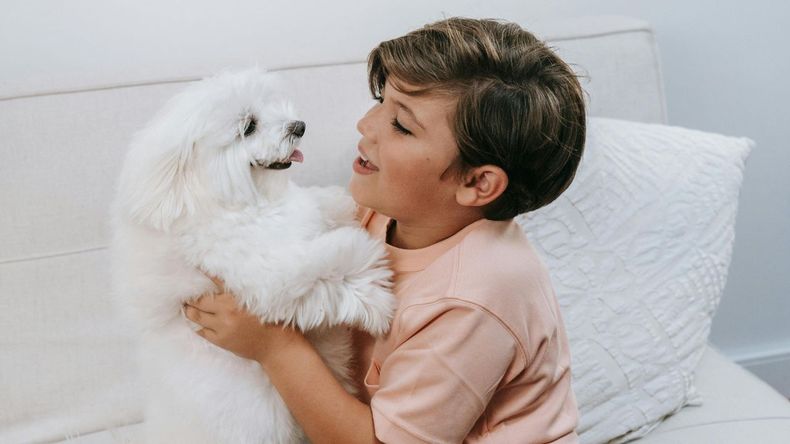 Estudios recientes indican que abrazar a un perro puede afectar negativamente su bienestar, ya que ellos suelen interpretar este acto como una restricción.