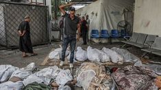 Ascienden a más de 9.000 los palestinos muertos por ataques de Israel en Gaza Ascienden a más de 9.000 los palestinos muertos por ataques de Israel en Gaza