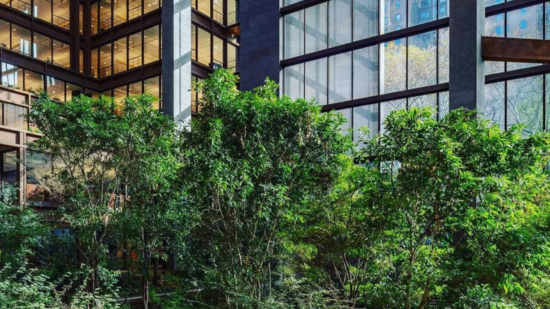 Es un invernadero gigante donde enormes árboles tropicales se levantan junto a arbustos
