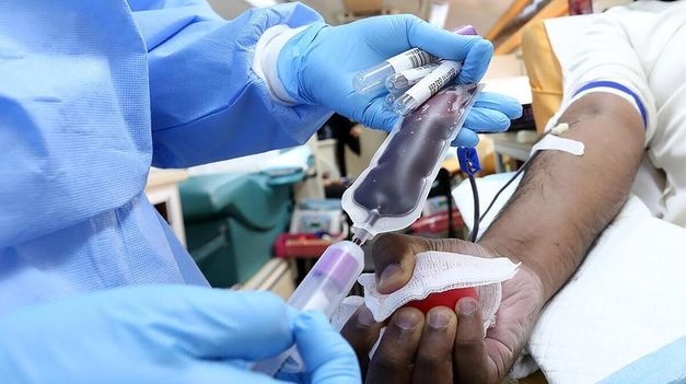 Cada 14 de junio se celebra el Día Mundial del Donante de Sangre.