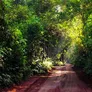 El denunciante encontró al taxista y la niña en la Reserva Selva Iryapú mientras realizaba ejercicio.