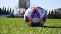 Sebastían Dominguez será nuevo entrenador de Tigre. Sebastían Dominguez será nuevo entrenador de Tigre.