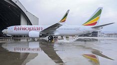 Los pilotos de Ethiopian Airlines se quedaron dormidos en pleno vuelo. Los pilotos de Ethiopian Airlines se quedaron dormidos en pleno vuelo.