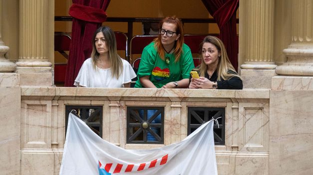 Diputados aprobó el programa Argentina Inclusiva: de qué trata el proyecto