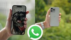 El truco para migrar los chats de WhatsApp de iphone 14 a 15 El truco para migrar los chats de WhatsApp de iphone 14 a 15