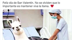 Las redes sociales se llenaron de memes este lunes por el Día de los Enamorados. Las redes sociales se llenaron de memes este lunes por el Día de los Enamorados.