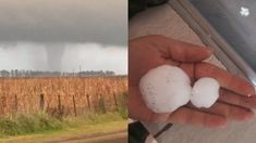 Tornado, fuertes vientos y enorme granizo en provincia de Buenos Aires durante el paso de la ciclogénesis. Tornado, fuertes vientos y enorme granizo en provincia de Buenos Aires durante el paso de la ciclogénesis.