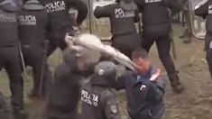 Asesinato del colectivero: evalúan sanciones para policía porteño que atacó con escudo a un manifestante Asesinato del colectivero: evalúan sanciones para policía porteño que atacó con escudo a un manifestante