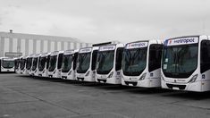 la empresa metropol anuncio un corte total de servicios en 23 lineas de colectivos a partir de la medianoche la empresa metropol anuncio un corte total de servicios en 23 lineas de colectivos a partir de la medianoche