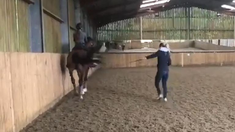 Charlotte Dujardin fue suspendida por maltrato animal.