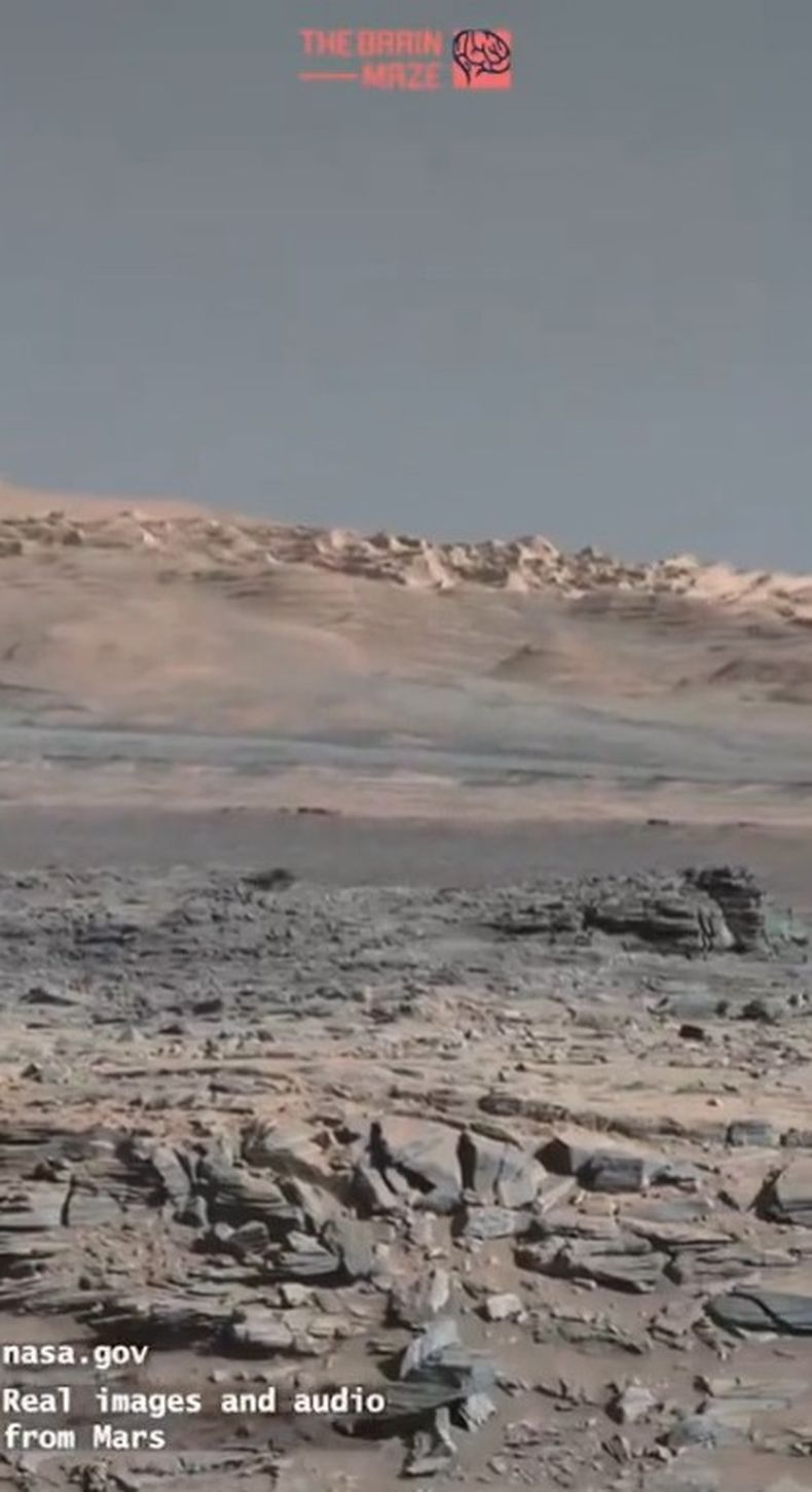 La Nasa se dispone a revelar importantes noticias sobre Marte | Cambio, image size:790x1450