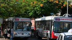 Se reanuda el servicio de colectivos en la ciudad de Formosa. Se reanuda el servicio de colectivos en la ciudad de Formosa.