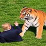 El video hecho con IA publicado por Trump.