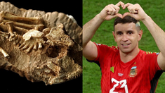 Paleontólogos le rinden homenaje al Dibu Martínez: un hallazgo prehistórico llevará su nombre Paleontólogos le rinden homenaje al Dibu Martínez: un hallazgo prehistórico llevará su nombre