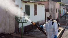 Las autoridades sanitarias brasileñas apuran las fumigaciones Las autoridades sanitarias brasileñas apuran las fumigaciones