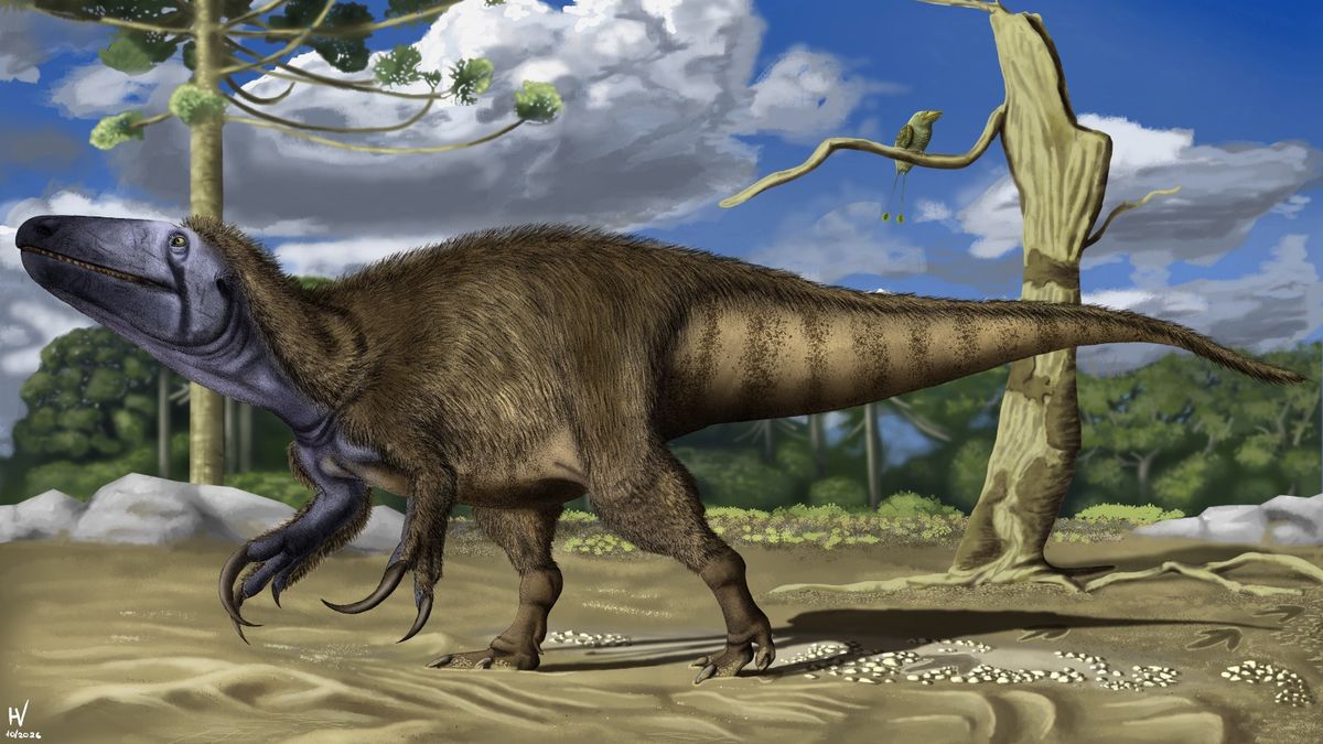 Conocé al nuevo dinosaurio argentino carnívoro Rinconraptor pipoae: vivió hace 86 millones de años