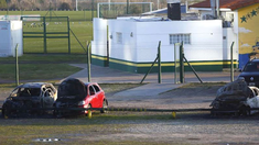 El desesperado pedido del representante de Aldosivi: Queremos saber quién hizo esto El desesperado pedido del representante de Aldosivi: Queremos saber quién hizo esto