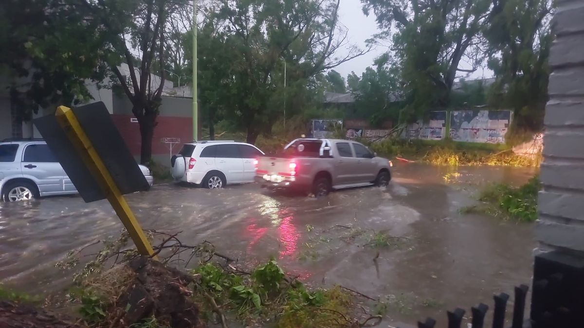 Cortes de luz en el AMBA: casi 20.000 usuarios sin suministro eléctrico por las tormentas