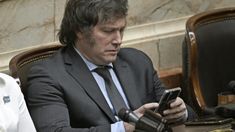Las redes sociales le jugaron una mala pasada a Javier Milei. Las redes sociales le jugaron una mala pasada a Javier Milei.