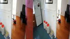el inquietante video de un fantasma que prende la aspiradora y limpia el piso que se volvio viral el inquietante video de un fantasma que prende la aspiradora y limpia el piso que se volvio viral