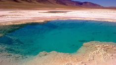 Tolar Grande se distingue por la hospitalidad de su gente, sus paisajes inolvidables y sus tradiciones, convirtiéndose en un destino turístico imperdible. Tolar Grande se distingue por la hospitalidad de su gente, sus paisajes inolvidables y sus tradiciones, convirtiéndose en un destino turístico imperdible.