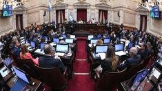 22 senadores se sumaron al proyecto para la creación de un Fondo Nacional para pagar la deuda con el FMI.