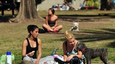 De cara al fin de semana se espera un incremento de la temperatura. De cara al fin de semana se espera un incremento de la temperatura.