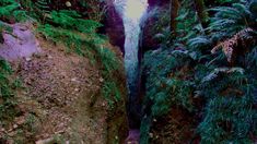 Estos sitios son ideales para descubrir una nueva faceta de la provincia de Jujuy Estos sitios son ideales para descubrir una nueva faceta de la provincia de Jujuy